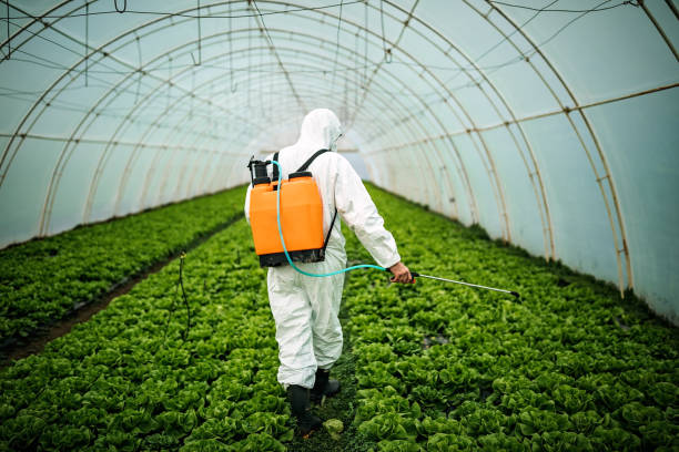 Trusted Apple Valley, MN Pest Control Experts